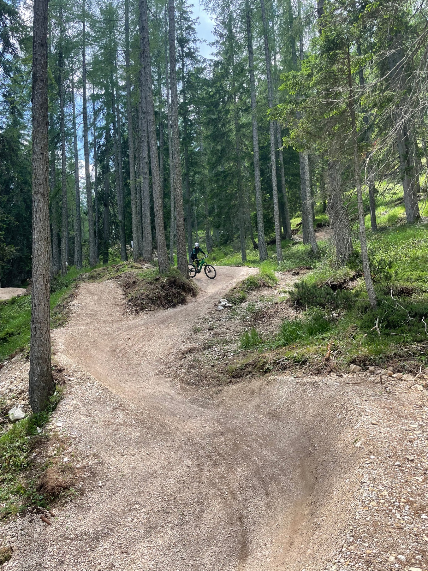 Junior Camp MTB Downhill